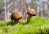 世界帆船赛事气象监测站点维护与升级方案，帆船国际比赛