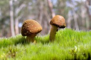 世界帆船赛事气象监测站点维护与升级方案，帆船国际比赛